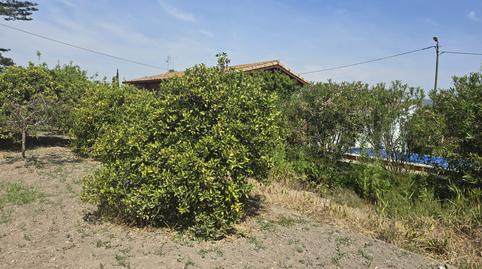 prop_10248_gallery_4_480_05