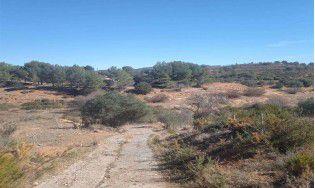 prop_7973_gallery_1_180RD_02