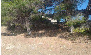 prop_7973_gallery_2_180RD_03