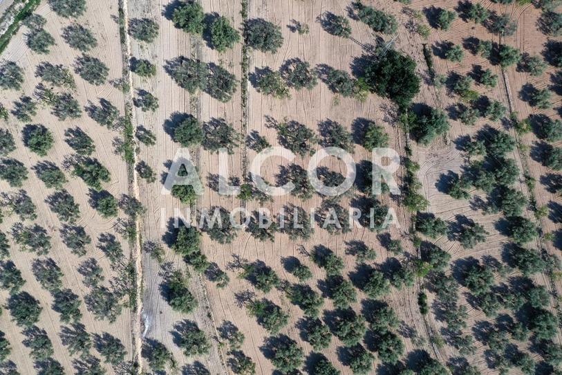 prop_8269_gallery_6_2774_07