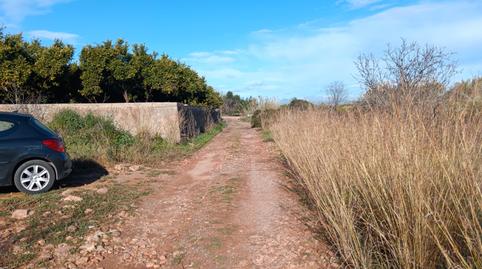 prop_8985_gallery_1_pinella_02-1